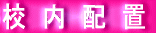 Zzu